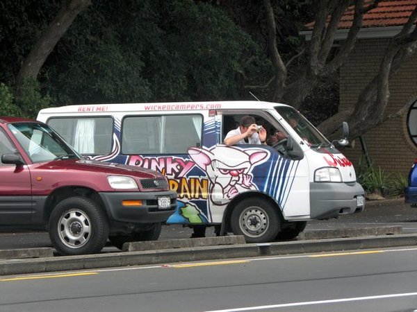 Yeah, still don't really know what was going on- but a Pinky & the Brain van is tops in my book!