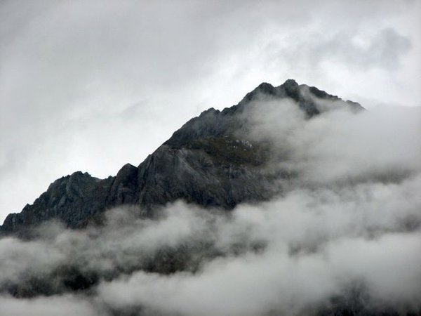 Pretty mountain in Milford Sound