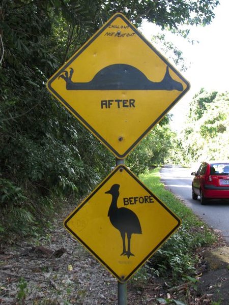 Before and After Cassowary.