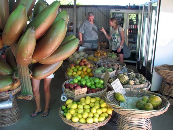 Fruit stand on our way back to Cairns