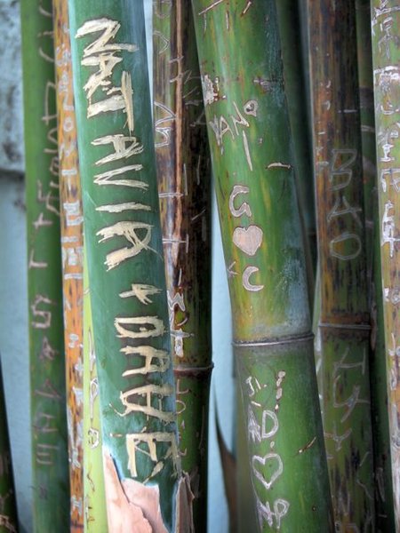 Bamboo graffiti at Chinese Garden.