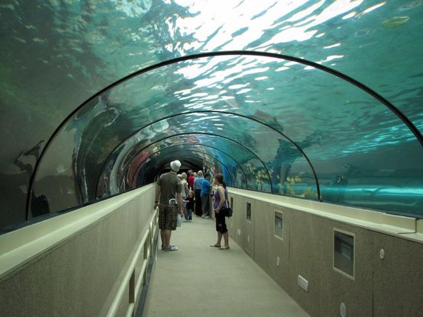 Dugong tunnel