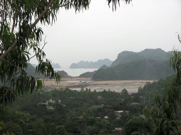 Looking out over Cat Ba