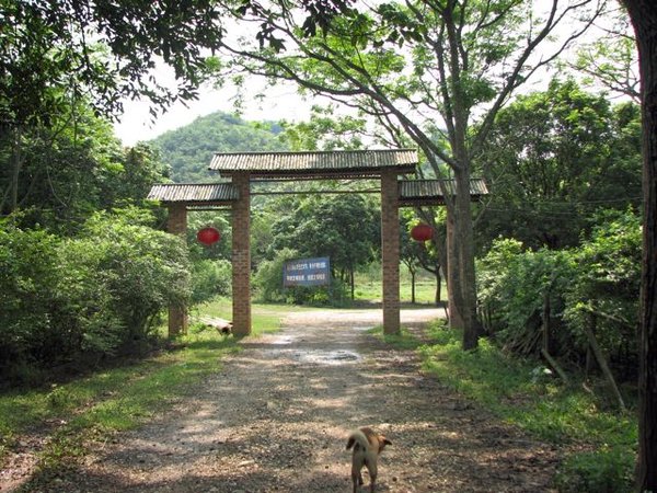 Entrance to our "homestay" compound.