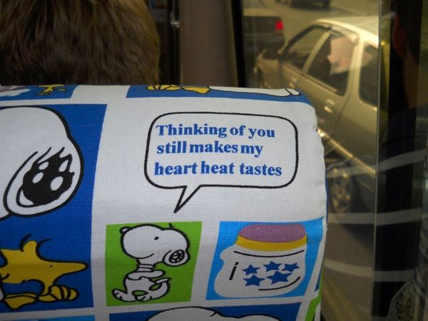 "Engrish" seat cover.