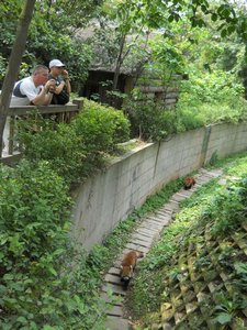 Red panda and Paul and Sue.