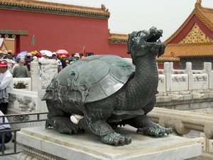 1113 turtle dragon thing