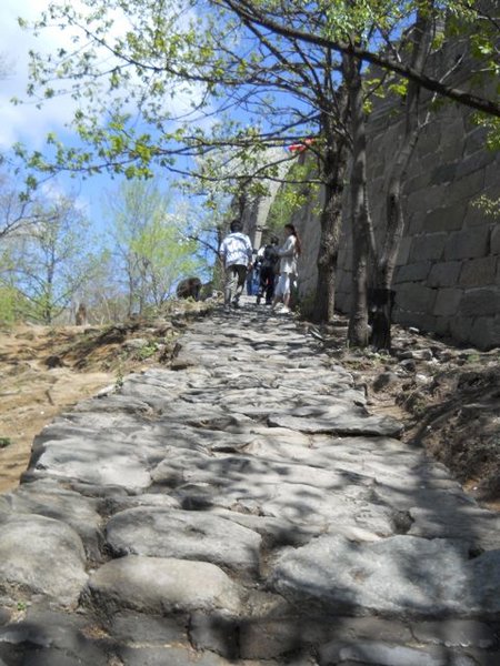 1167 rocky path