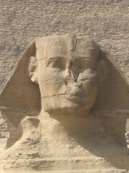 Sphinx close-up