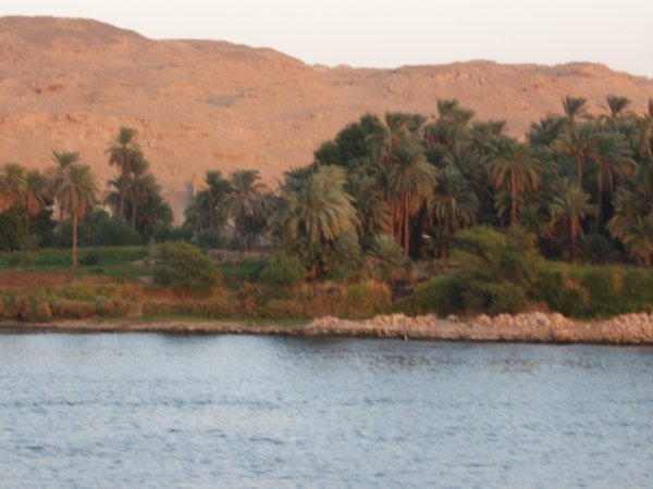 Nile bank