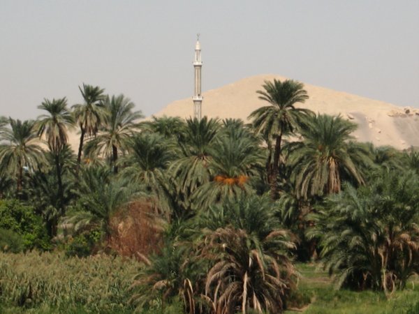 Desert & Nile
