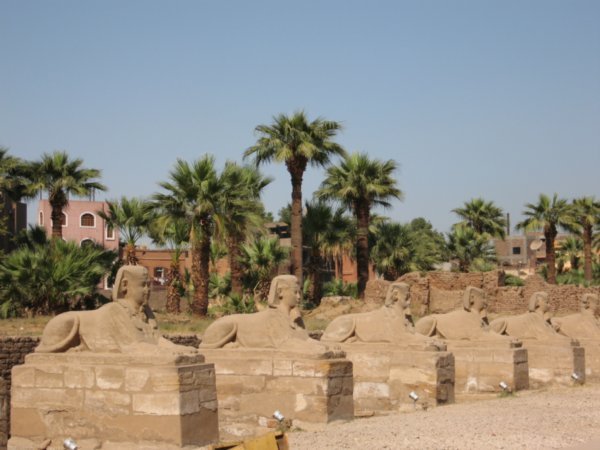 Avenue of Sphinxes at Luxor