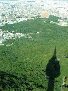 In the shadow of N. Seoul Tower