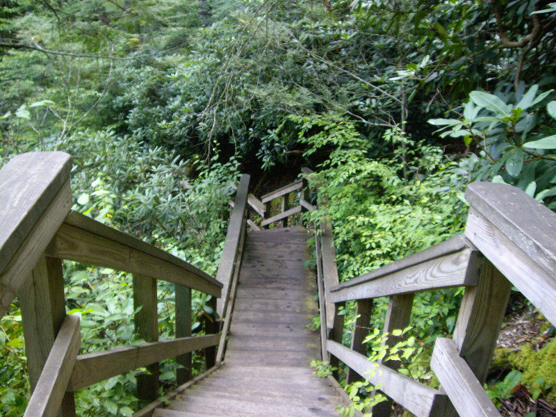 Dingmans Falls stairs