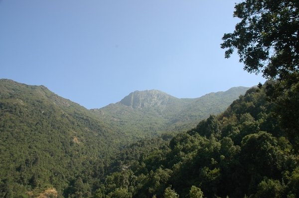 Cerro La Campana