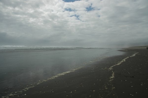 Pacific shoreline, PN Chiloe