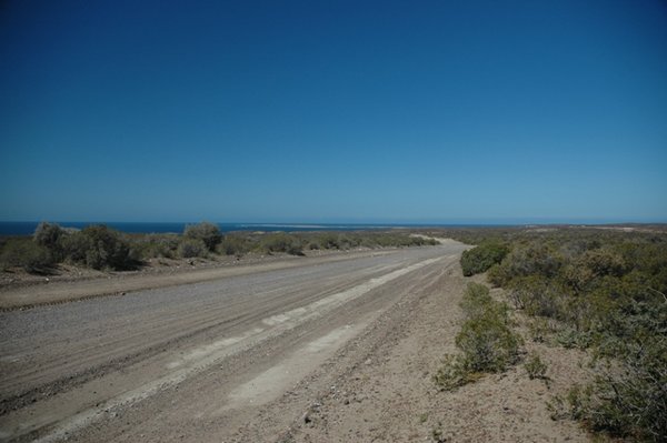 The road to Punta Tombo