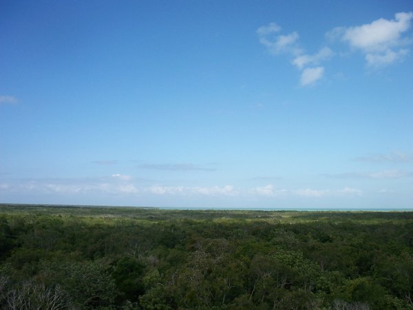view from nature reserve
