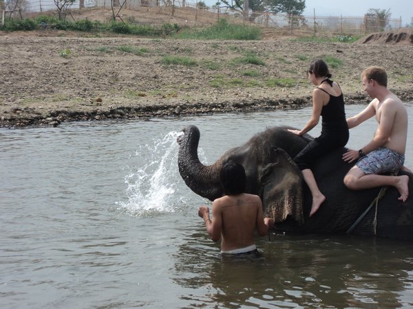 Elephant ride 2
