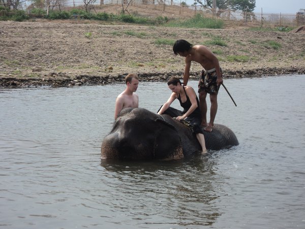 Elephant ride 5