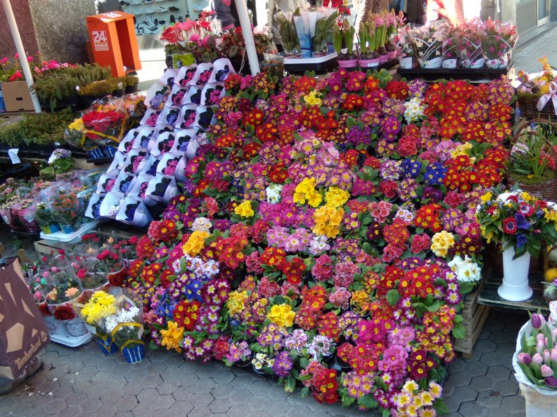 Flowers in Zagreb