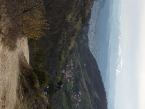 Trail to Sarajevo
