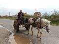 Traditional farm transport
