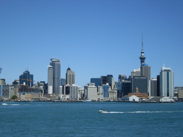 The Auckland backdrop