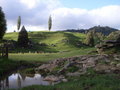 Walk by Waitomo River