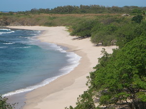 Playa Junquillal