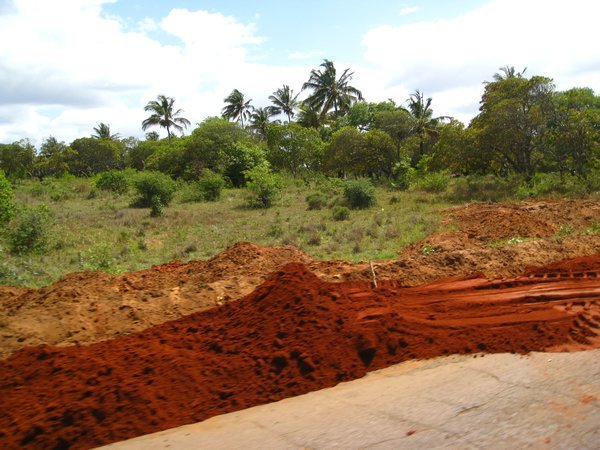 African soil!