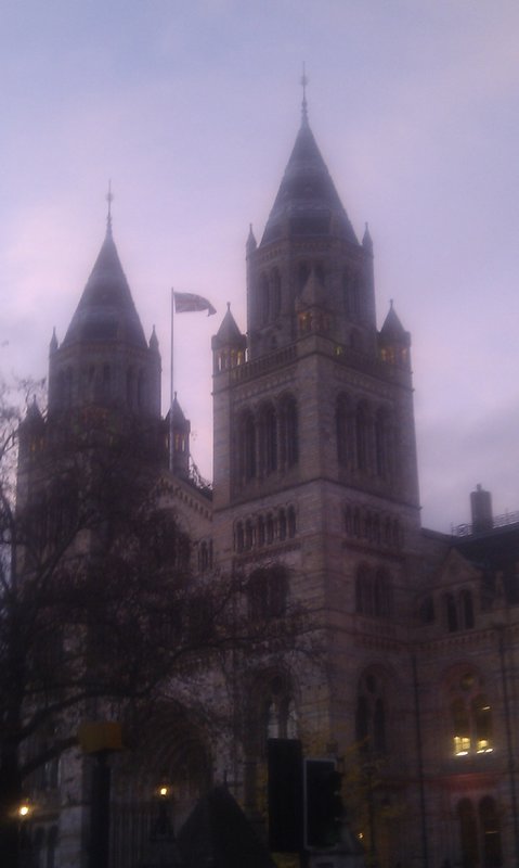 The Natural History Museum, again