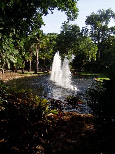 George Brown Botanical Garden