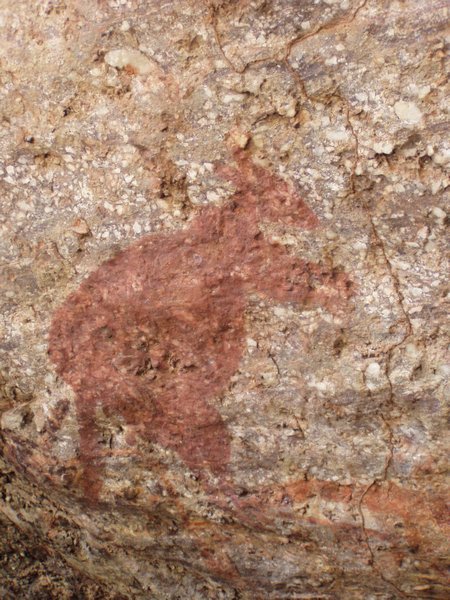 Kangaroo rock art painting
