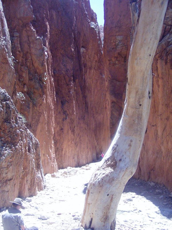 Standley Chasm at midday
