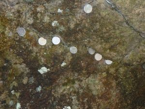 Coins along the walkway