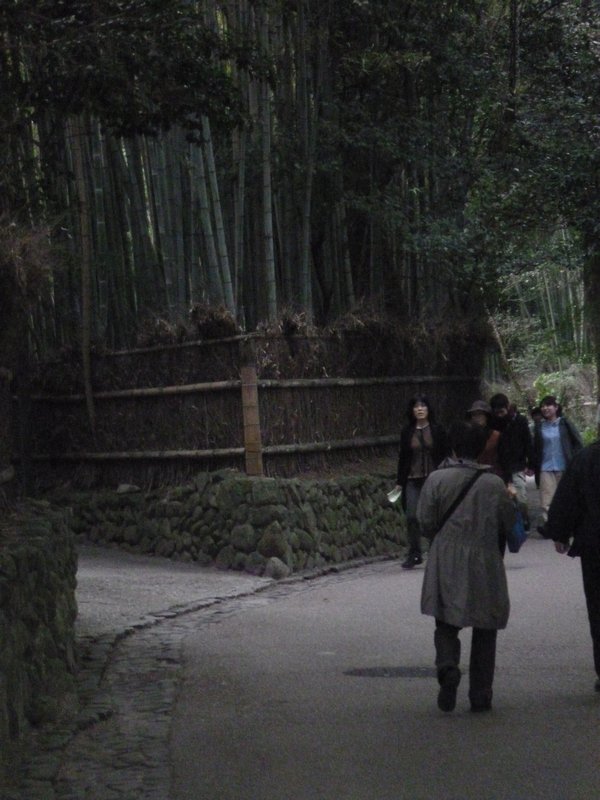 Bamboo Grove walk, Arashiyama