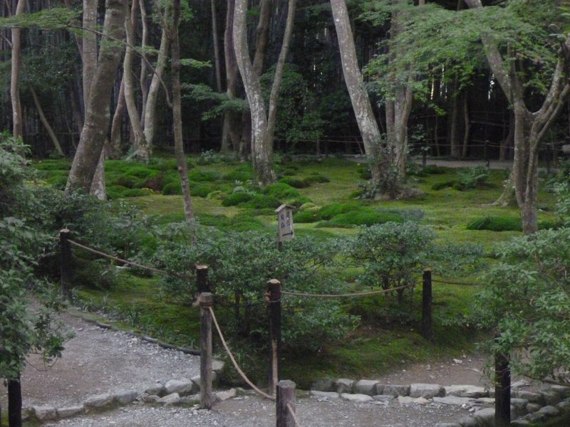 Japanese moss garden