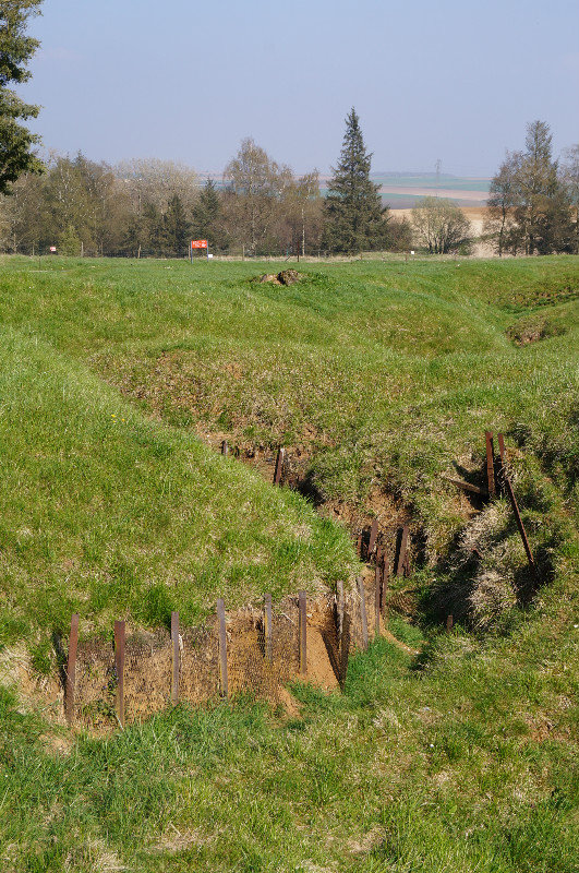 Newfoundland park trenches