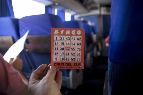 lucky 21 bingo ticket!