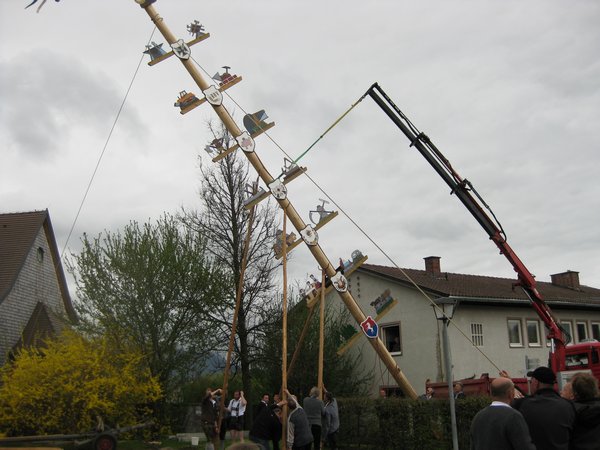 Memholz Maibaum being erected