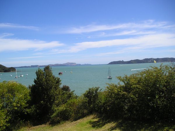 Paihia from up high