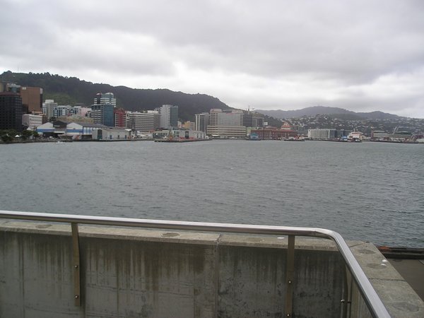 view of Welly suburbs