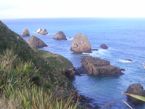 Nugget Point Coast 1