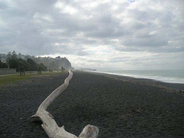 Attempting to be arty on Napier beach
