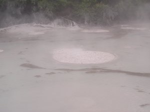 biggest mud pool in NZ