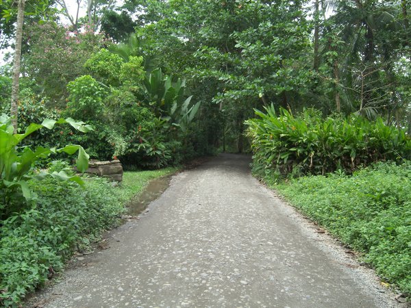 road to the beach house