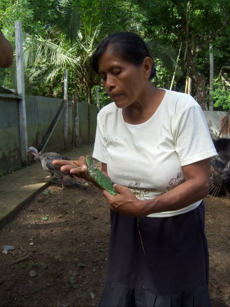 the owner of the iguana santuary with a sick iguana