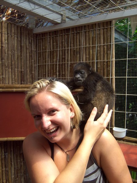 monkey loves