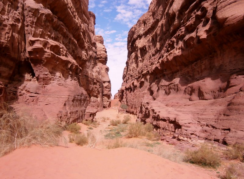 Canyon in the desert